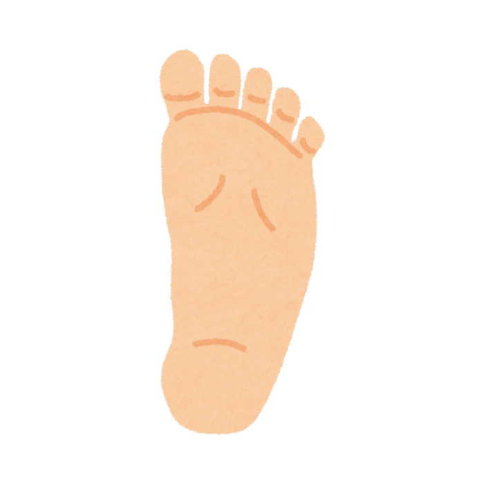 足裏のイラスト