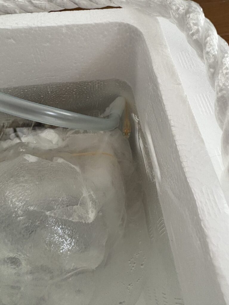 こちらは一枚目のアップ