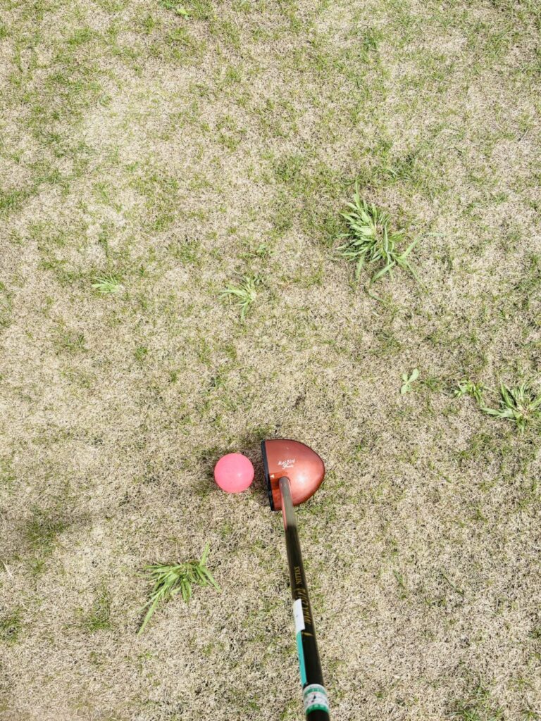 芝生の上に置かれたパークゴルフのクラブとピンク色のボール。クラブで打つ直前の視点