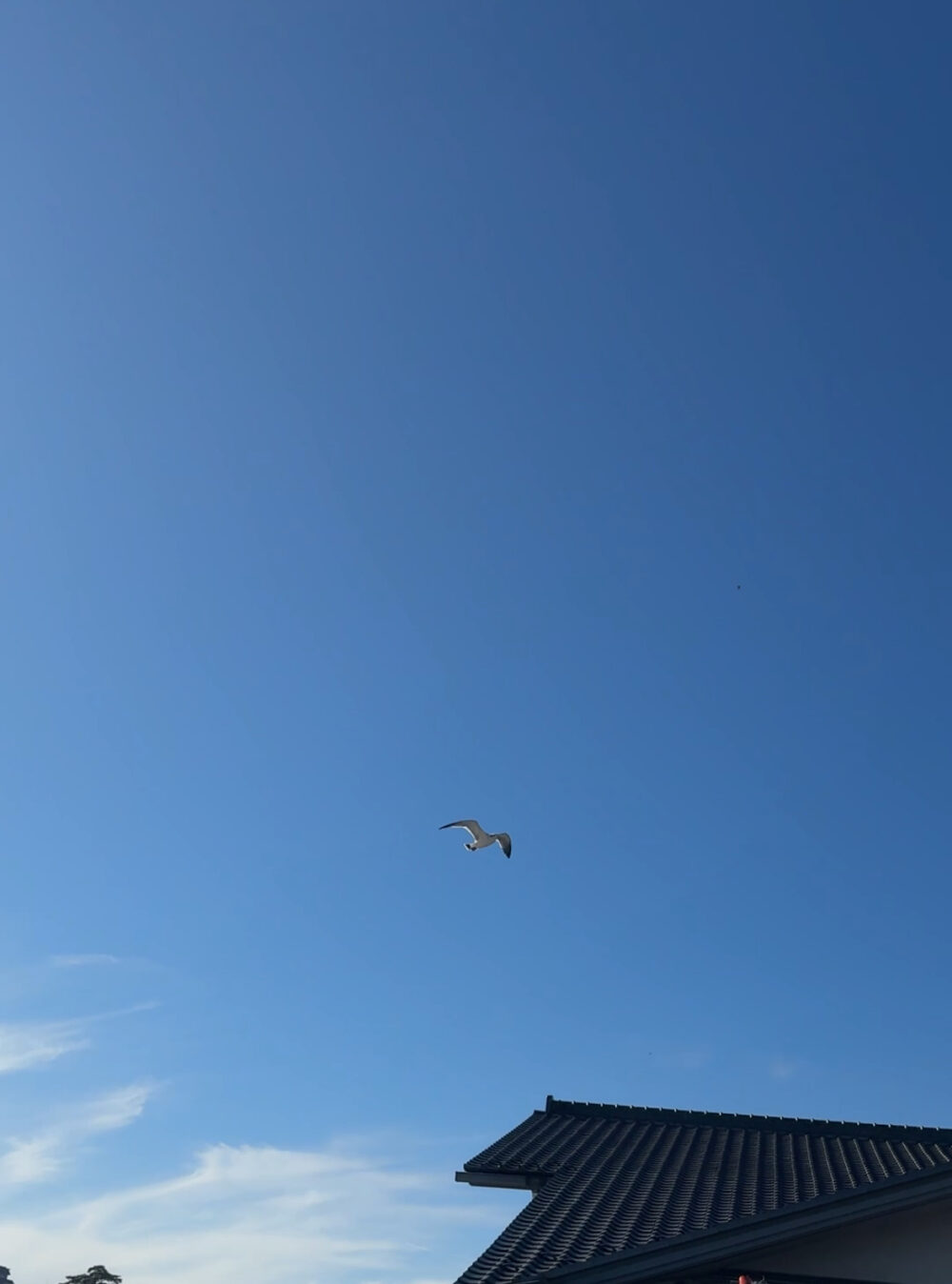 青い空を背景に、中央に「感じかたの話」という文字が入った、かもめが飛んでいるアイキャッチ画像。