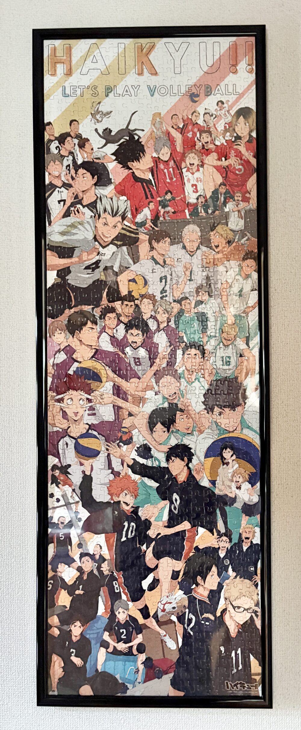 ハイキューパズル
